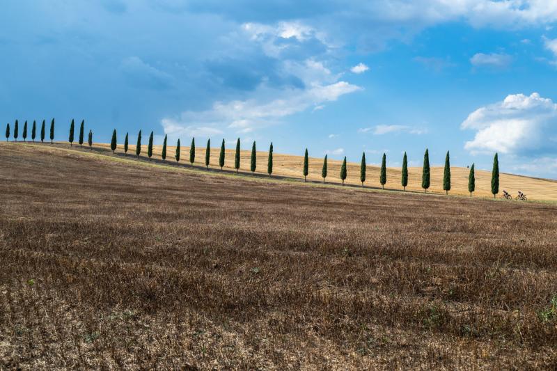 9. Castelnuovo Berardenga - Pianella