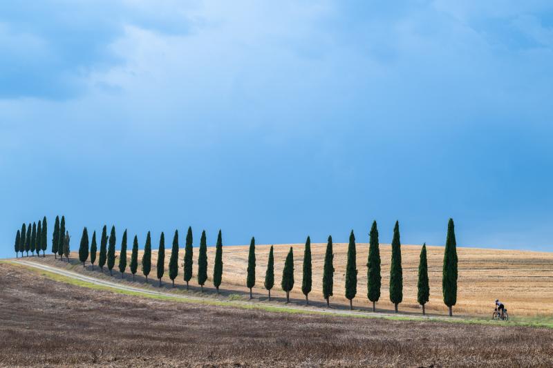 Tappa 2. Torrenieri - S.Quirico D'Orcia